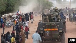 Французькі військові та урядові війська Малі в'їжджають в Тімбукту, 28 січня 2013 року