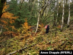 Кристек использует счетчик Гейгера для поиска радиоактивных минералов в горах на севере Чехии