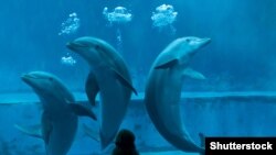 Ілюстративне фото