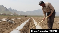 Иллюстративное фото.