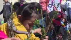 Бишкек жашыл шаарга айланат