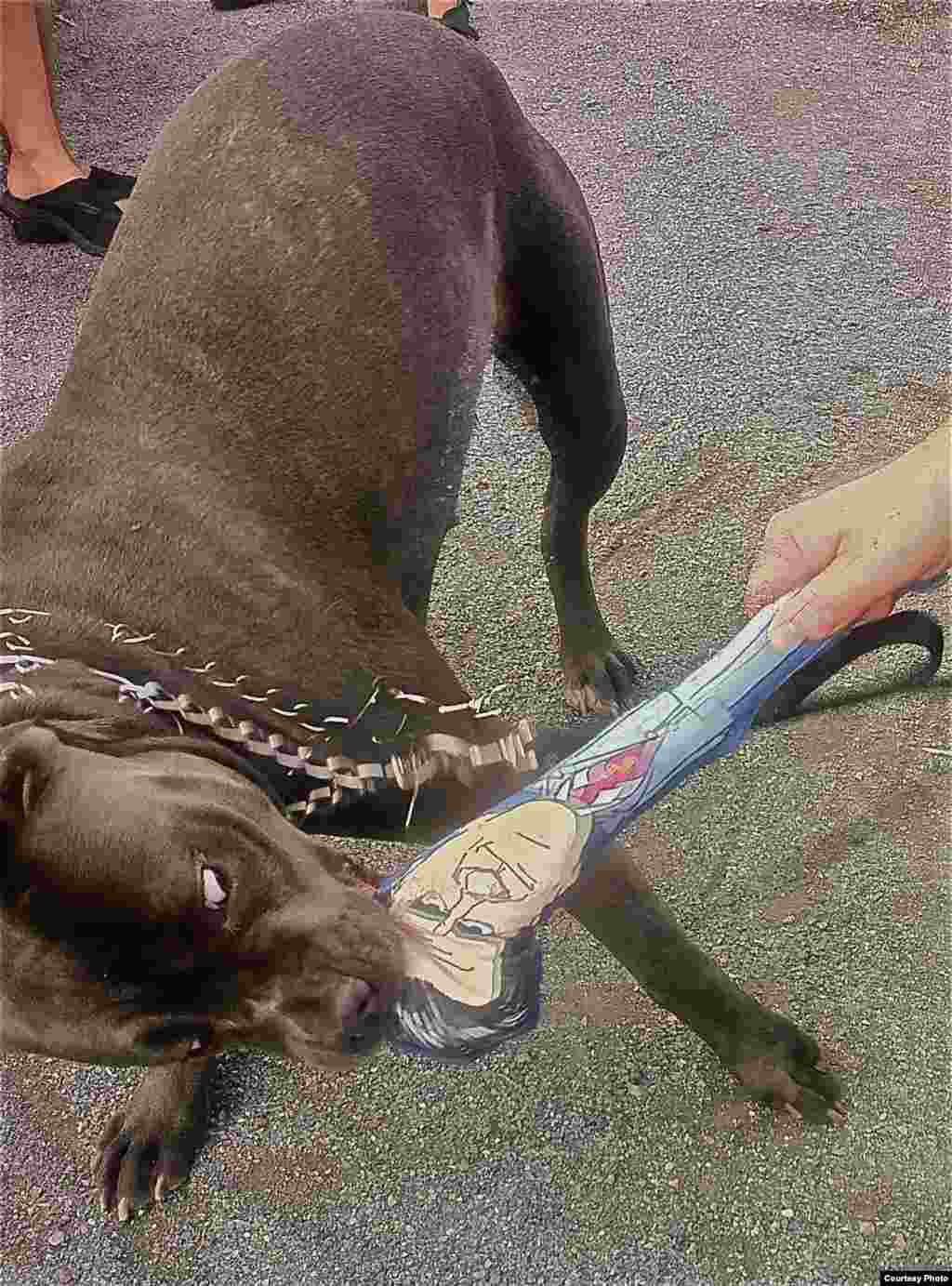 Бер эт Ромни кыяфәтендә ясалган уенчыкны чәйни