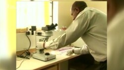 Друга людина в історії позбулася ВІЛ – відеосюжет