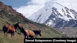 Шева, Бадахшан. Фото: Довуд Сулаймонов