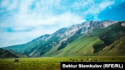 Түргөн капчыгайы. Ысык-Көл облусу. 