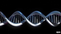 ДНК важнее человека