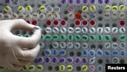 Генетический материал в медицинской лаборатории. Иллюстративное фото.