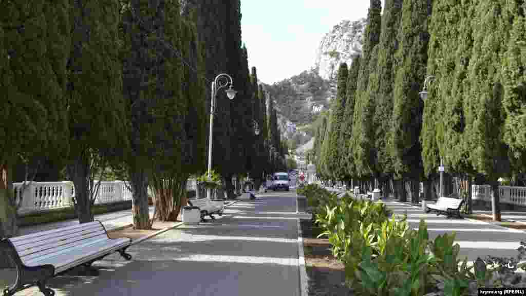 Центральная аллея, ведущая к парку, осталась нетронутой, поскольку ее реконструировали ранее, силами местных предпринимателей