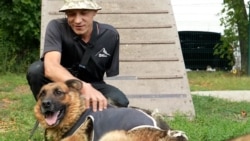 Ukrainian Amputee Veteran Finds Solace In Caring For Dogs