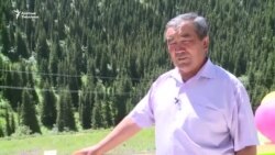 Тоо койнундагы балдар лагери