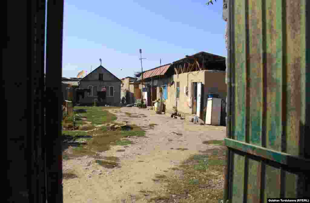 &nbsp;&quot;Дордой&quot; жаңы конушу. &nbsp;