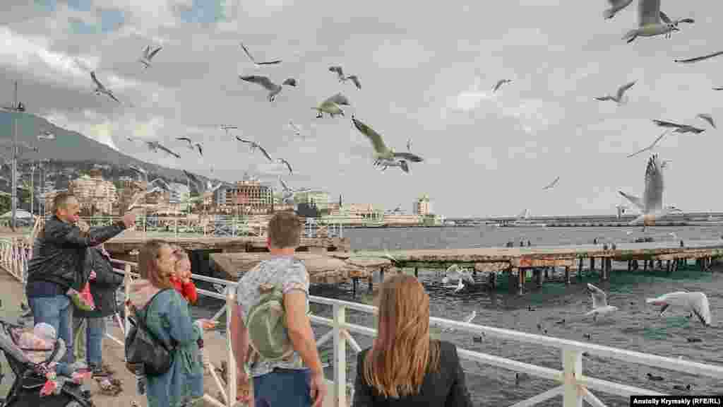 Цього тижня в Криму було аномально тепло. Стовпчик термометра перевалював за 20&deg; C не тільки на Південному узбережжі, але й у центральних районах Криму. Біля старого причалу на набережній Ялти люди розважалися годуванням чайок на льоту. Побачити більше фото з Ялти можна у фотогалереї​