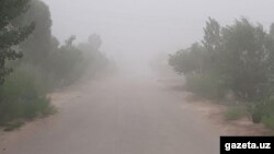 Duzly tupan Türkmenistanyň demirgazyk goňşusy Özbegistanyň Garagalpagystan awtonom respublikasyndan geldi. 