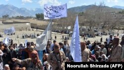 Святкування мирного договору між США й «Талібаном», провінція Лагман, 2 березня 2020 року
