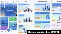 "Түндүк" тиркемесиндеги жеткиликтүү маалыматтардын айрымдары. "Азаттыктын" коллажы.