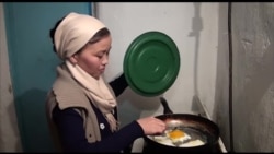 Таласта биогаз чыгарган фермер