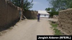 Кыргыз-тажик чек арасы.
