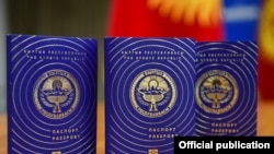 Кыргызстандын паспорту. Иллюстрациялык сүрөт.