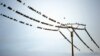 Starlings gather  on a high voltage electric wire prior to their seasonal migration on October 1, 2012 in Strazeele, northern France. AFP PHOTO PHILIPPE HUGUEN (Photo by PHILIPPE HUGUEN / AFP)