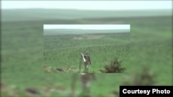 Скриншот с видео, распространенного азербайджанскими СМИ 