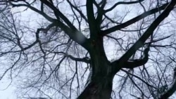 А был ли мальчик? "Нелюбовь" как диагноз России