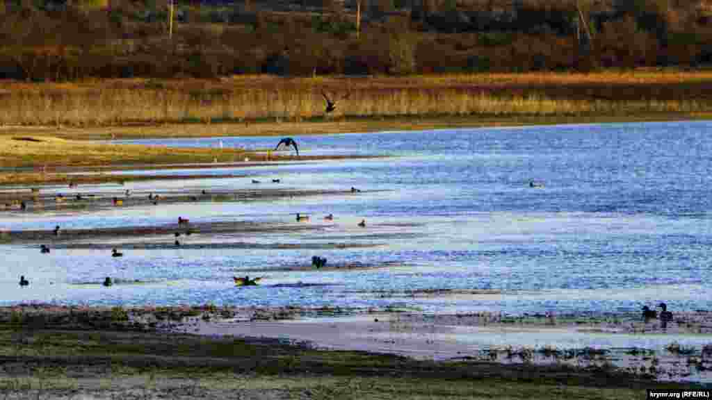 Расположенное в Бахчисарайском районе Альминское водохранилище &ndash; одно из первых в Крыму, построенное в 20-30-х годах прошлого века на балке Базар-Джилга