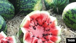 Не стоит ожидать роста от уже разрезанного арбуза