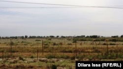 Казак-өзбек чек арасы. Иллюстрациялык сүрөт.