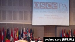 Беларуская дэлегацыя на пасяджэньні АБСЭ (у цэнтры - Жана Літвіна)