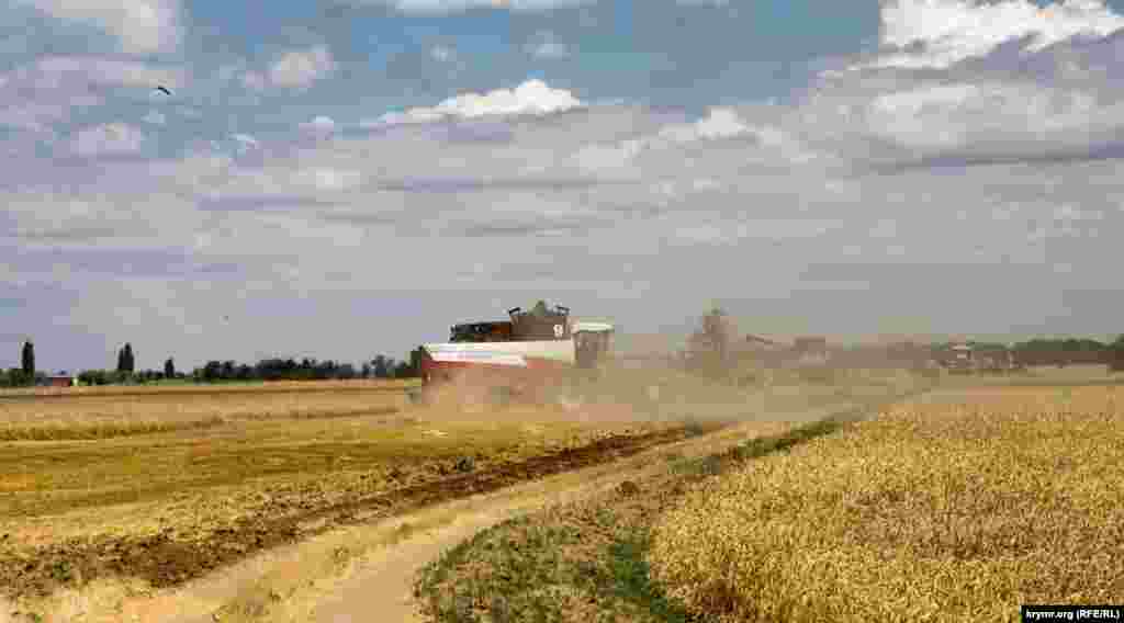 На рисових чеках господарства працювало чимало переселенців з Рівненської, Хмельницької, Вінницької та інших областей материкової України. Вони займалися також вирощуванням інших колосових культур, а ще &ndash; фруктів і овочів, щедро зрошуваних дніпровською водою. &nbsp; Як тепер живуть у степовому селі Ботанічне &ndash;​ у фоторепортажі Крим.Реалії