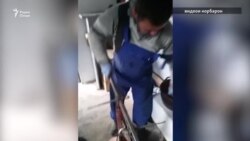 Ҳамааш аз сабзӣ сар шуд