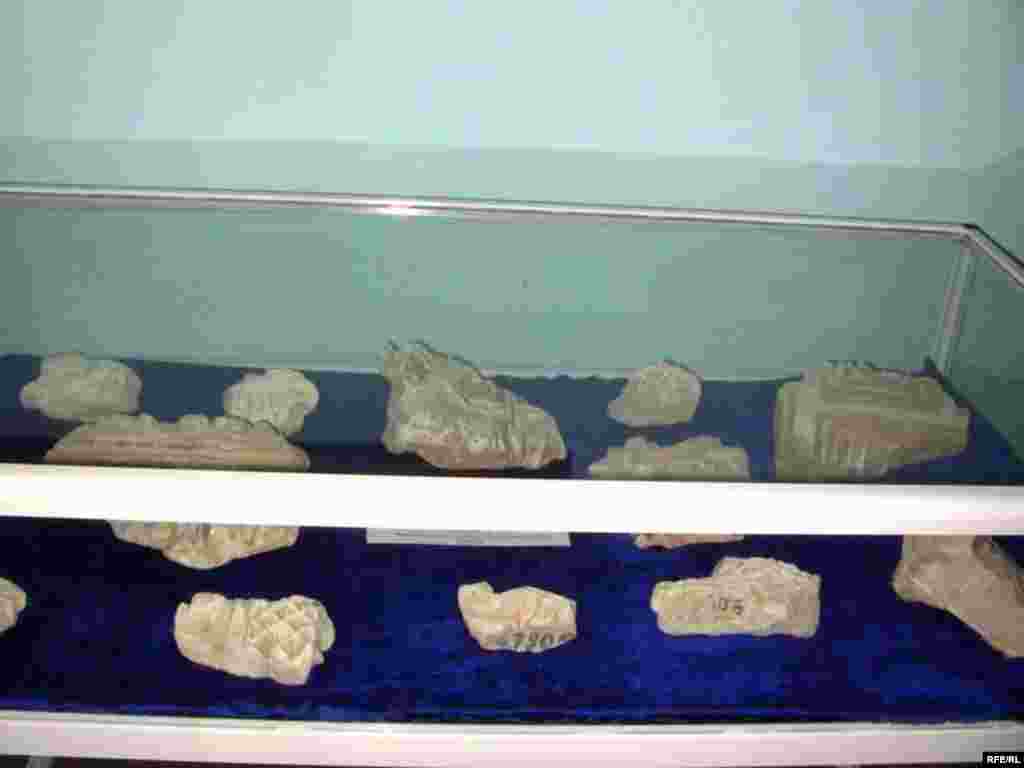 Намоишгоҳ дар осорхонаи Беҳзод #29