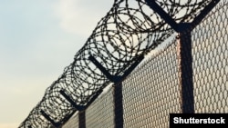 Иллюстрациялык сүрөт. 