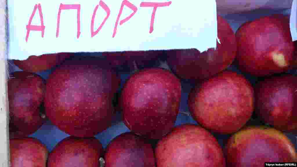 Дыйкандан бат мөмө берүүчү "Интенсивный" деп аталган алманын өнүктүрүлгөн сортторун өстүрүүнү самашууда. Анткени эски сорттор узак убакта мөмөгө кирип, көп жерди ээлейт.