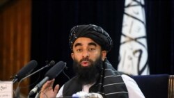 ذبیح‌الله مجاهد، معین وزارت اطلاعات و فرهنگ و سخنگوی حکومت طالبان