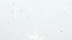 نخستین برف سال کابل را سفید‌پوش کرد 