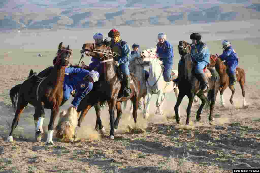 Состязание по кокпару.&nbsp;