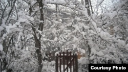 Акс аз Ҳафиз Қаландаров, блогнависи тоҷик