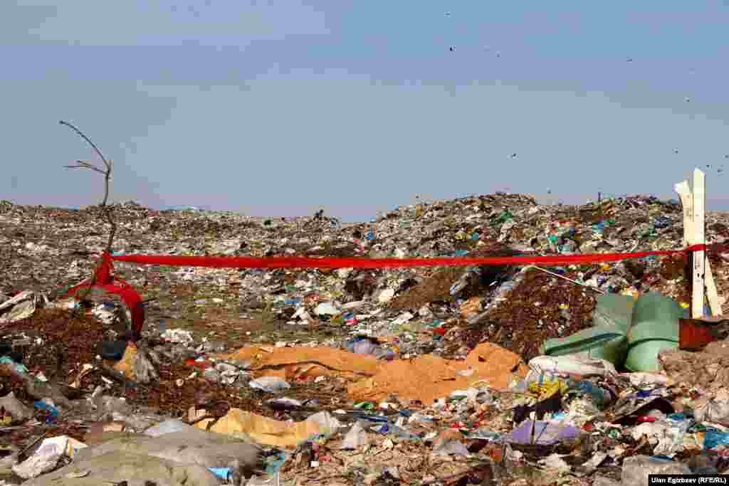 Шаарда атылган ит-мышыктар да ушул жерге төгүлөт. Ал үчүн атайын кудук даярдалганы менен андан чыккан жыттан жанына барууга мүмкүн эмес.