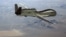 RQ-4 Global Hawk – беспилотный летательный комплекс военно-воздушных сил США