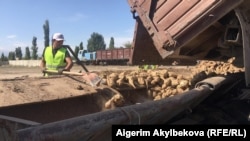 Иллюстративное фото.