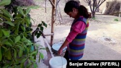 Насос орнотулган кудуктун суусу түтүктөн чыгат. Ал электр менен иштейт. 