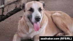 Иллюстративное фото