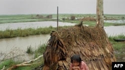 Ин тифли мянмариро тӯфон аз волидайну сарпаноҳ маҳрум намудааст 