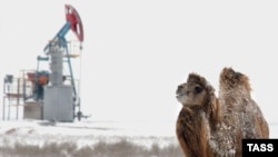 Добыча нефти в Мангистауской области. Иллюстративное фото.