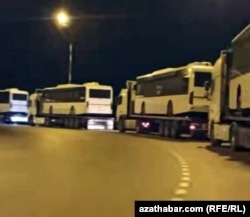 Arkadag şäherine getirilen täze awtobuslar