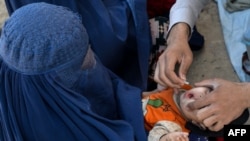 عکس از آرشیف