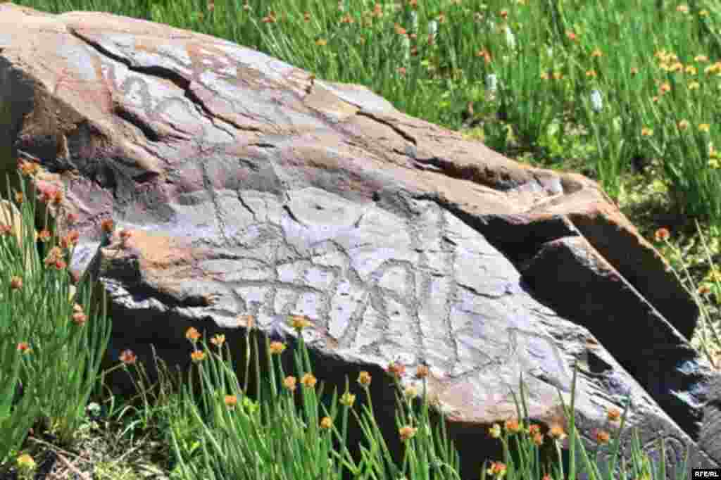 Саймалуу-Таш или расшитые камни Тянь-Шаня #10