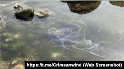 «Масляную пленку» заметили в Черном море в Керчи, 29 марта 2025 года