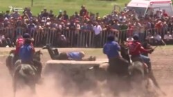 Көк бөрүнүн баш байгесин Таластын "Ынтымагы" утту